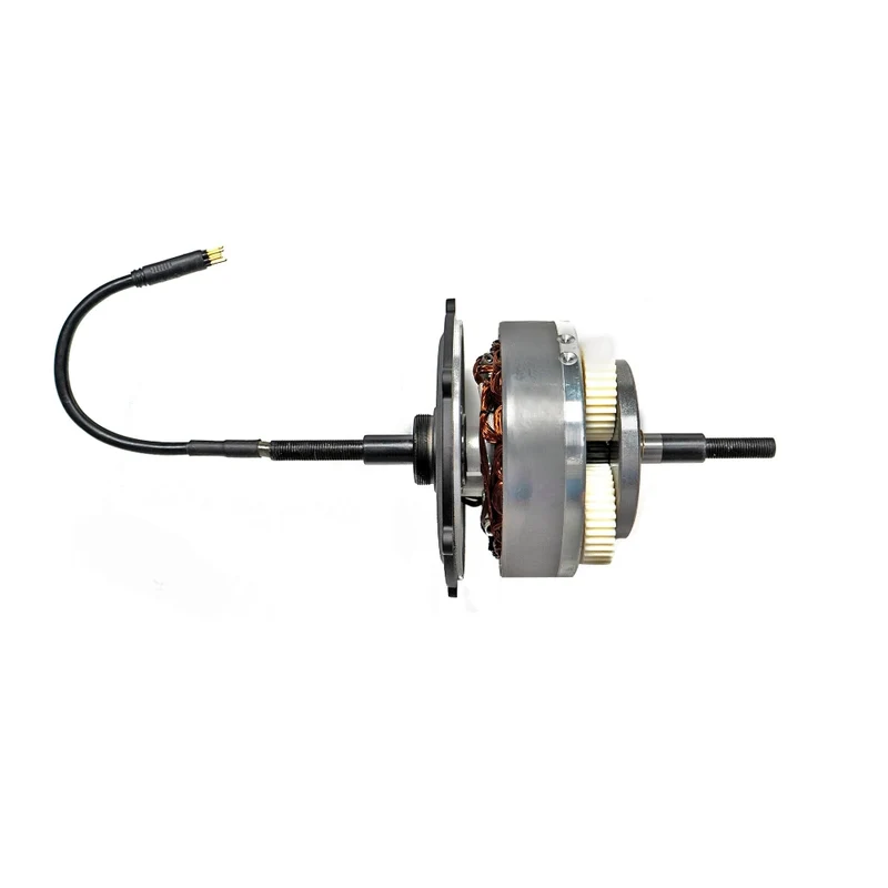 Engwe L20 SE Electric Bike Motor