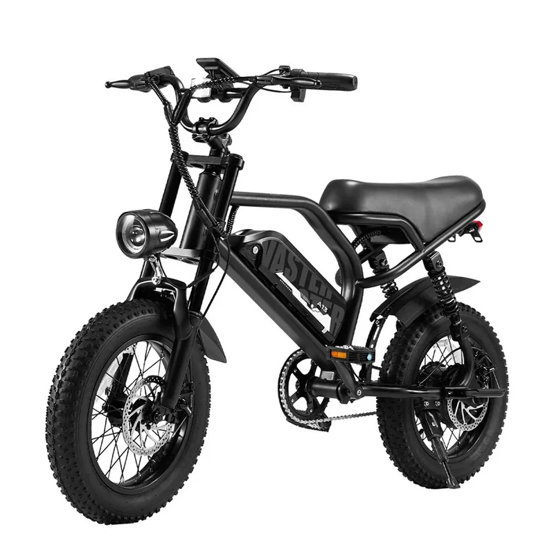 AVDL A13 250W Electric Fat Bike 16" 460Wh E-bike