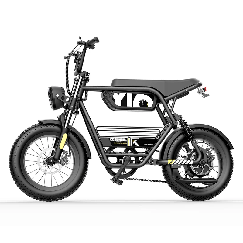 Coswheel Y16 16" Fat Bike Full Suspension E-Mountain Bike 720Wh EMTB
