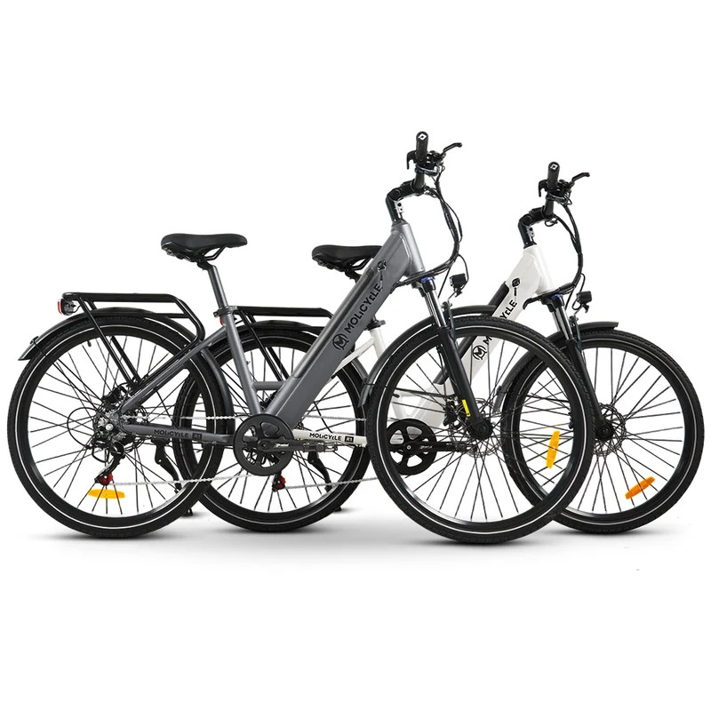 Molicycle R1 * 2 E-Bikes Bundle
