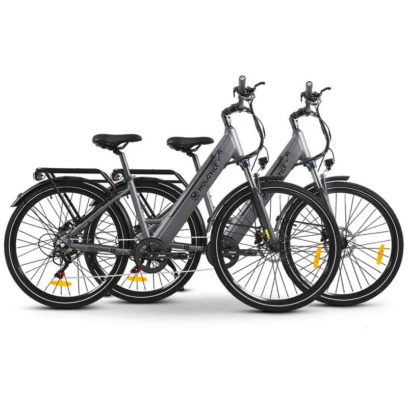 Molicycle R1 * 2 E-Bikes Bundle