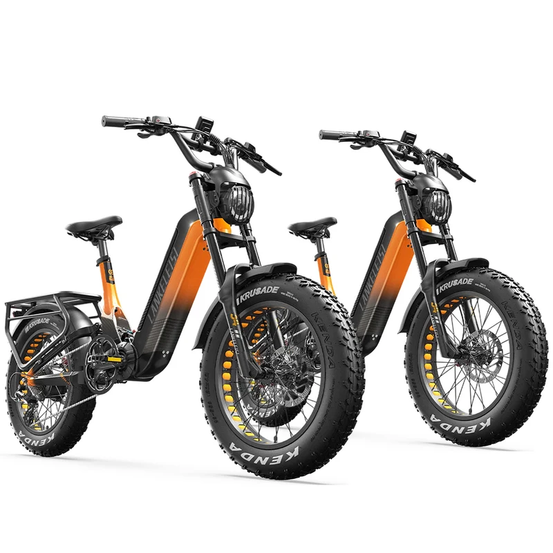 Lankeleisi RX800 Plus * 2 E-Bikes Bundle
