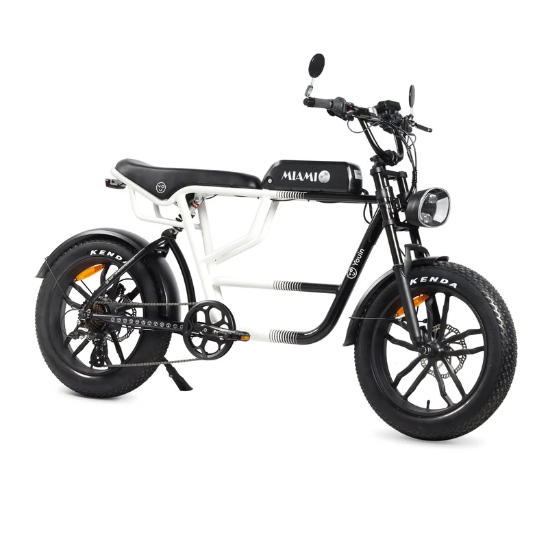 Bicicleta eléctrica Fat Bike Youin Miami