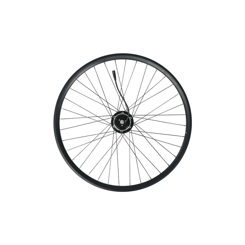 Componentes de la rueda trasera para Fiido Air