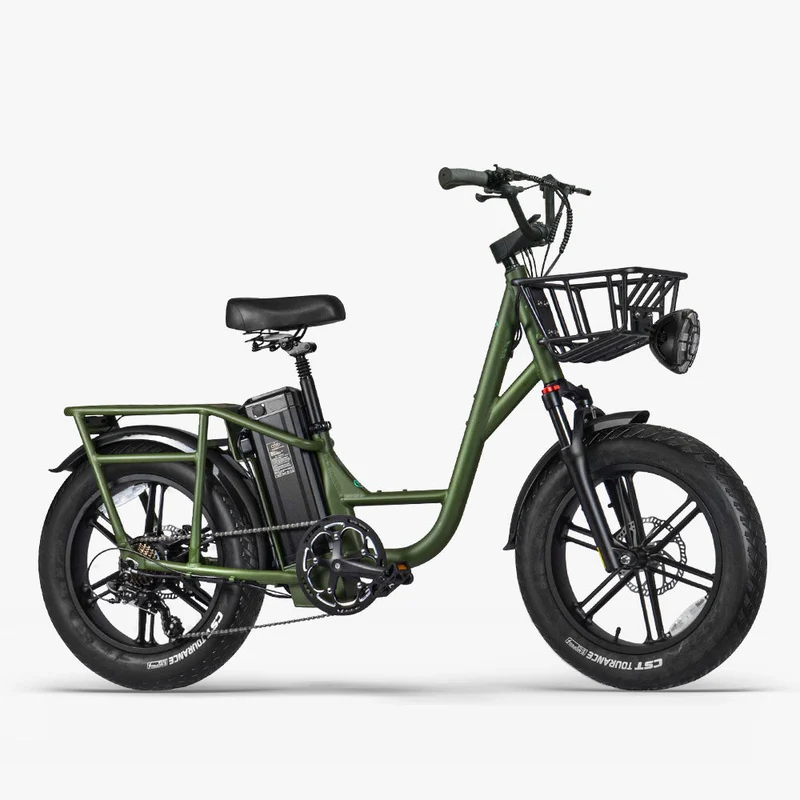 Fiido T1 Pro Bicicleta Electrica De Carga Con Ruedas Gordas