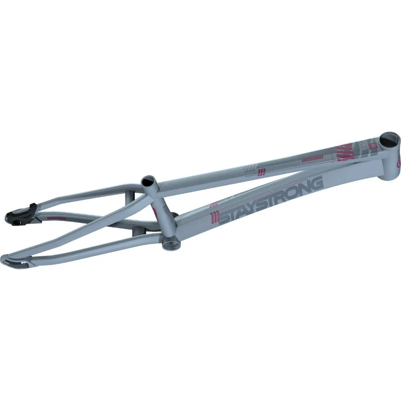 Stay Strong For Life V4 Junior Race Frame