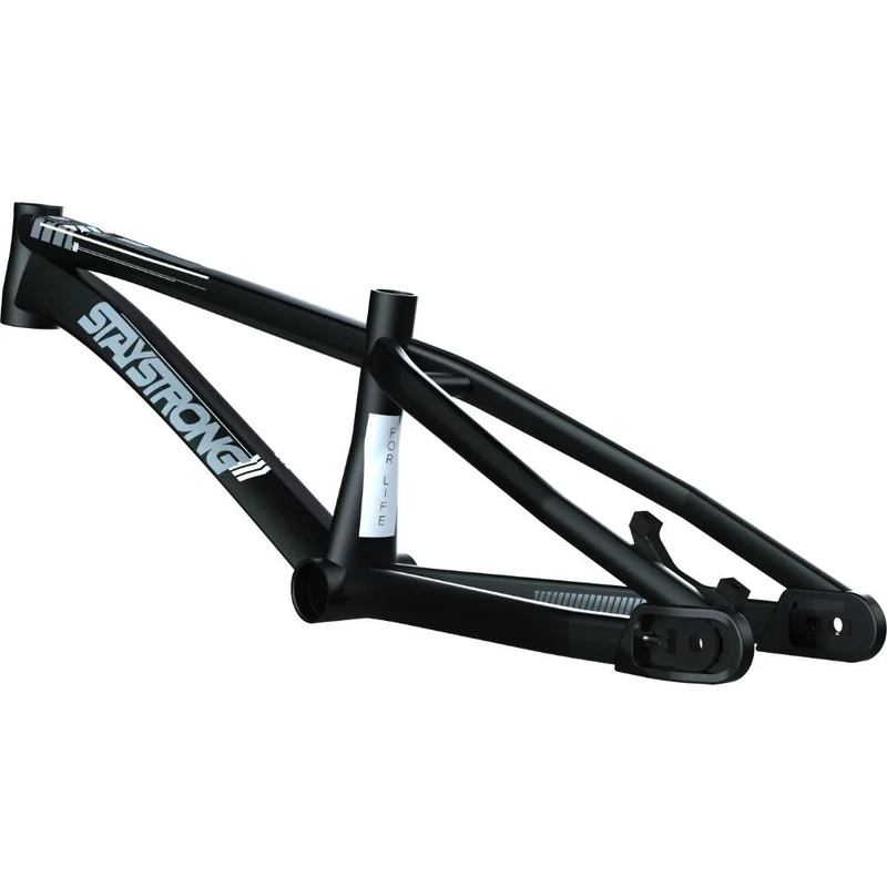 Stay Strong For Life V4 Expert Race Frame