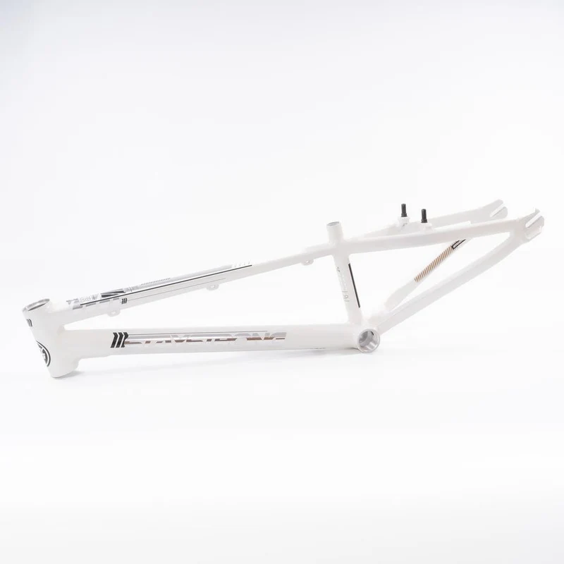 Stay Strong For Life 2023 V4 Cruiser Expert XL Race Frame